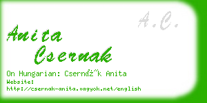 anita csernak business card